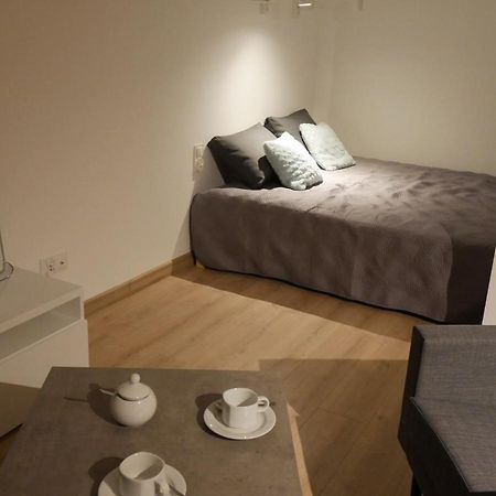 Auschwitz New Flat For Rent Air Conditioning In The Apartament Oswiecim Nowe Mieszkanie - Centrum Klimatyzacja W Mieszkaniu Apartment Bagian luar foto