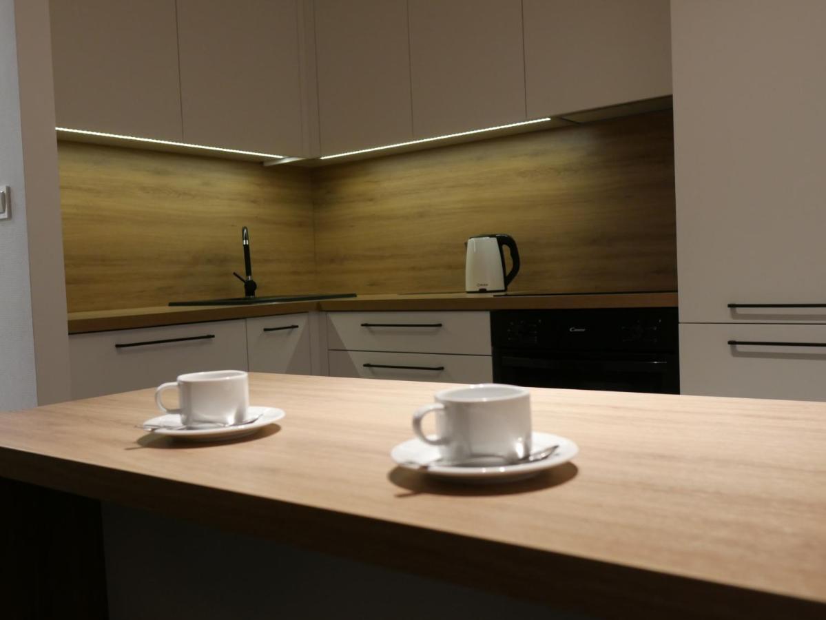 Auschwitz New Flat For Rent Air Conditioning In The Apartament Oswiecim Nowe Mieszkanie - Centrum Klimatyzacja W Mieszkaniu Apartment Bagian luar foto