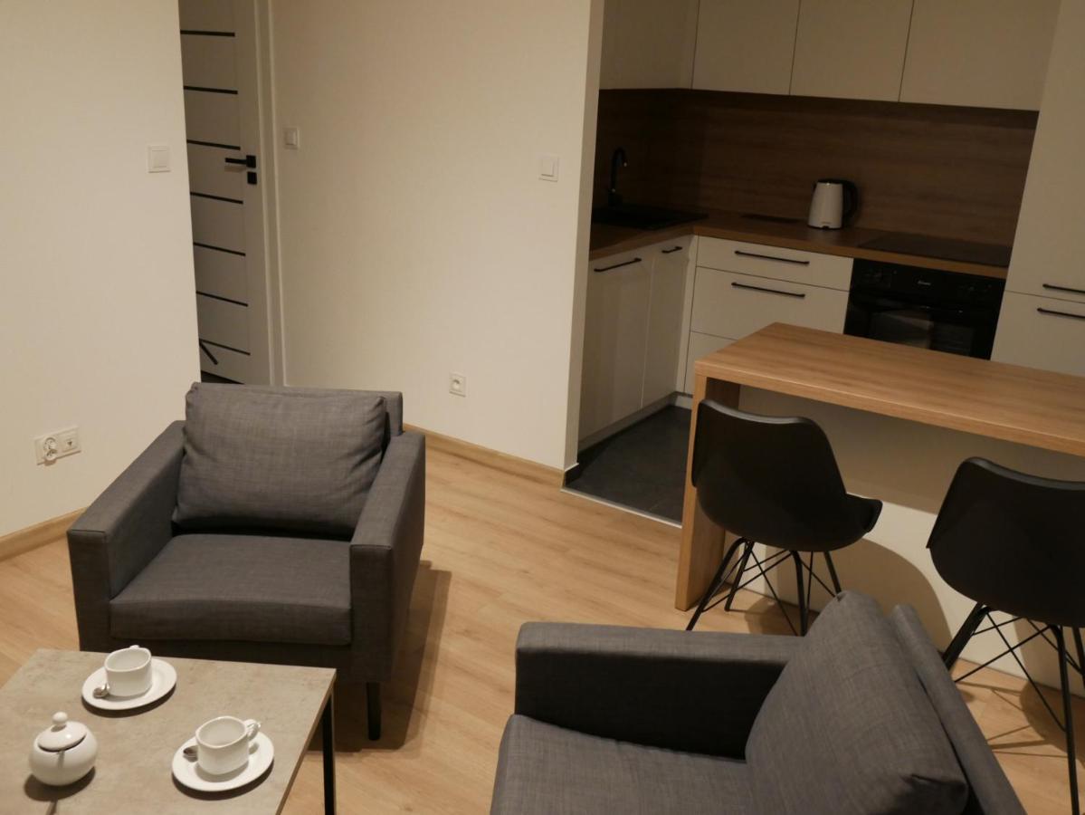 Auschwitz New Flat For Rent Air Conditioning In The Apartament Oswiecim Nowe Mieszkanie - Centrum Klimatyzacja W Mieszkaniu Apartment Bagian luar foto