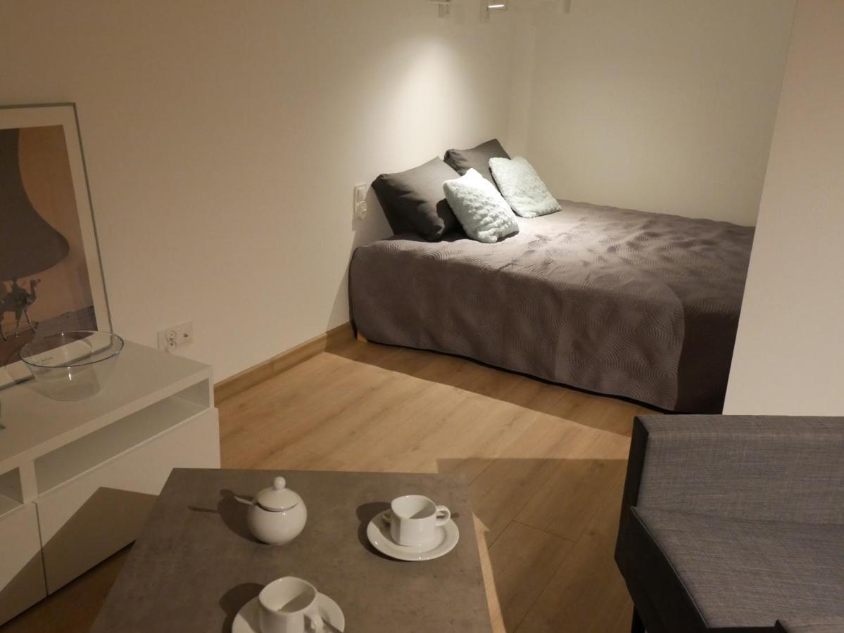 Auschwitz New Flat For Rent Air Conditioning In The Apartament Oswiecim Nowe Mieszkanie - Centrum Klimatyzacja W Mieszkaniu Apartment Bagian luar foto